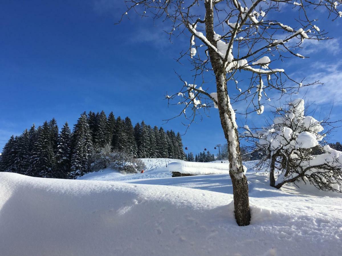 Beim Rohrer Apartamento Kirchberg in Tirol Exterior foto